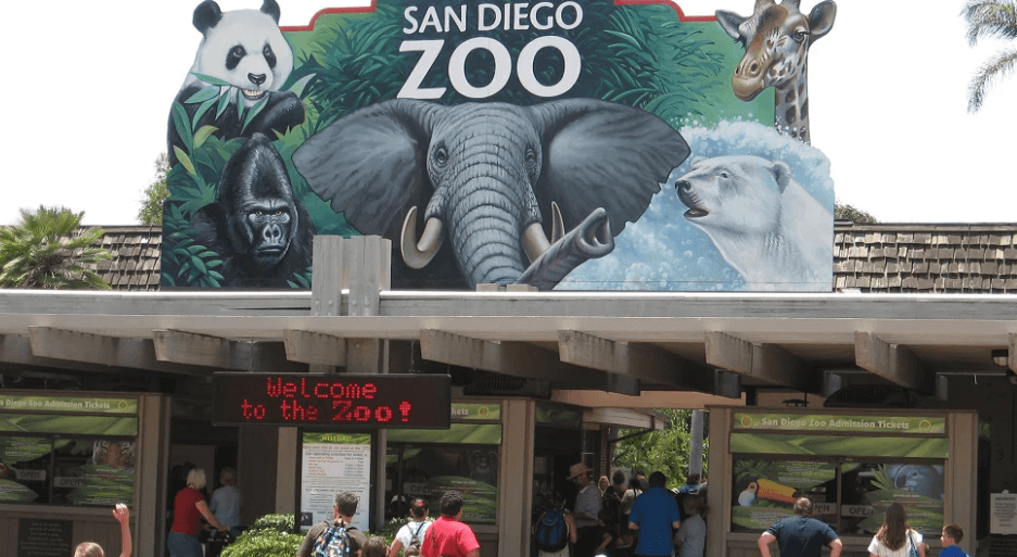 Vancouver, Canada – Wheelchair-Friendly City by the Sea Chicago, Illinois – Inclusive Urban Adventures